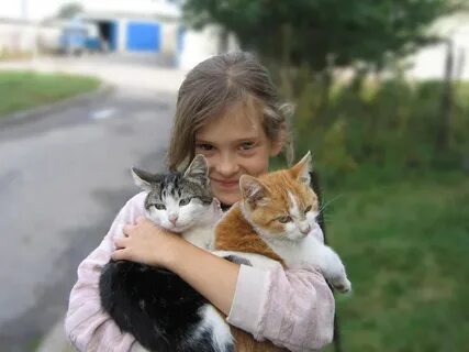 Котенок доверяет