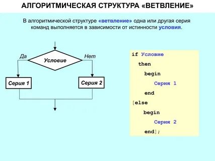 Что такое алгоритмическая конструкция ветвление