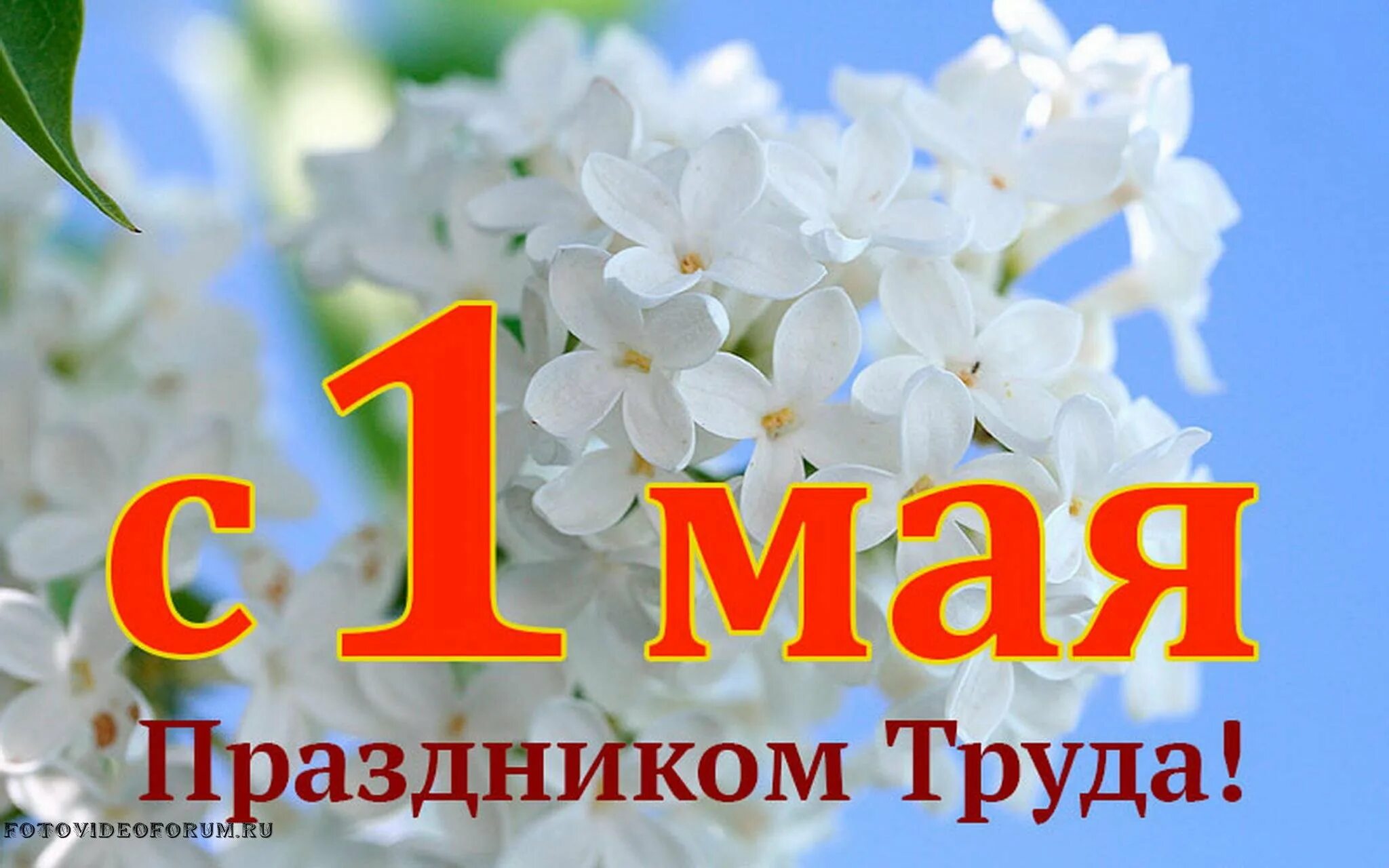 Праздник 1 мая официальное название. Поздравление с 1 мая. 1 Мая праздник весны и труда. 1 Мая праздник. С праздником 1 мая поздравления.