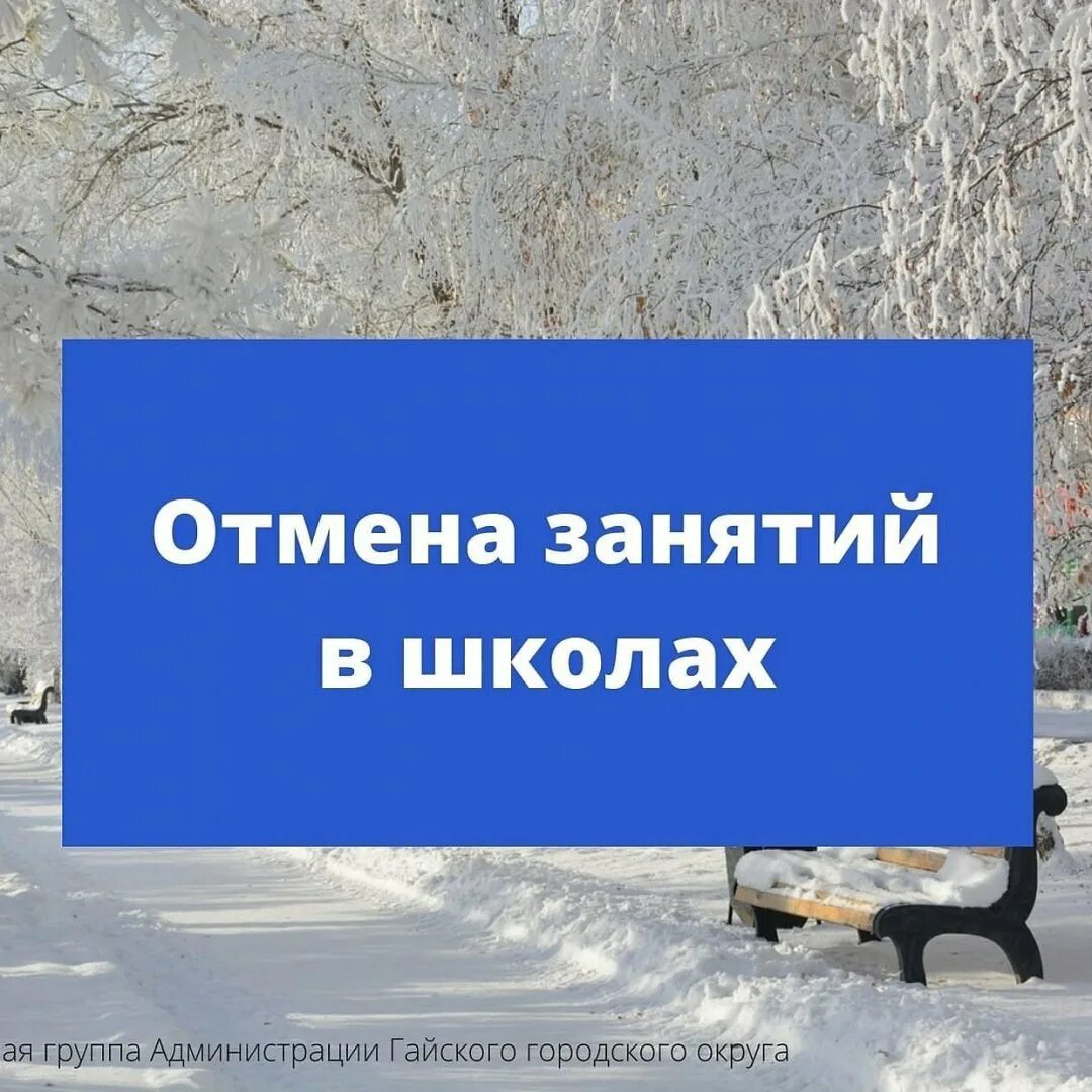 Отменяются ли занятия в школе сегодня