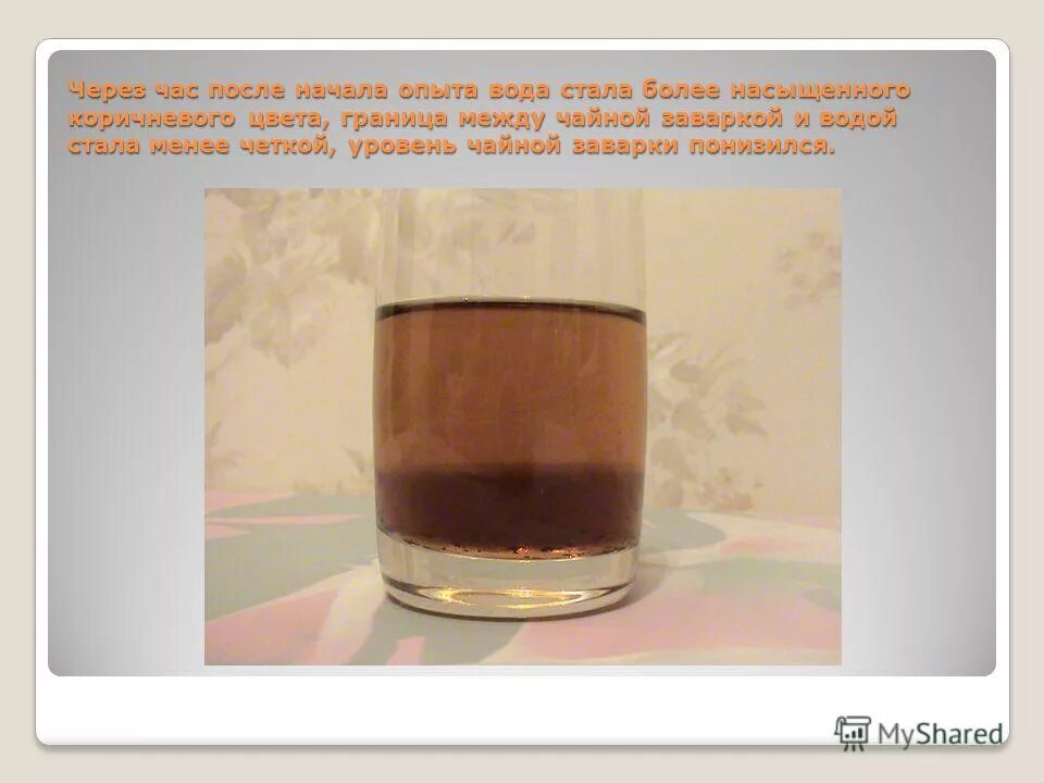 Свежезаваренный чай. Гвоздика цветочек в чай. Если залить сухую чайную заварку. Заварка чая. Как правильно заваривать ройбуш.