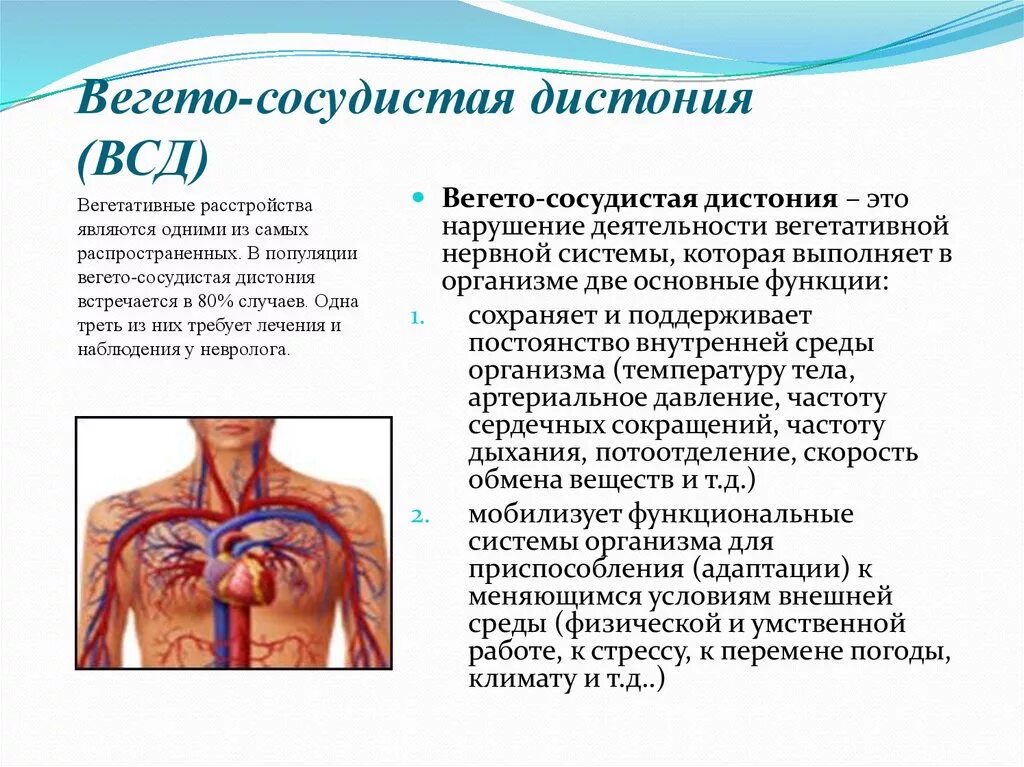 Давление при всд. Сосудистая дистония. Вегетососудистая дистонич. Вегето-сосудистая дистония что это. Вегетососудистая астения.