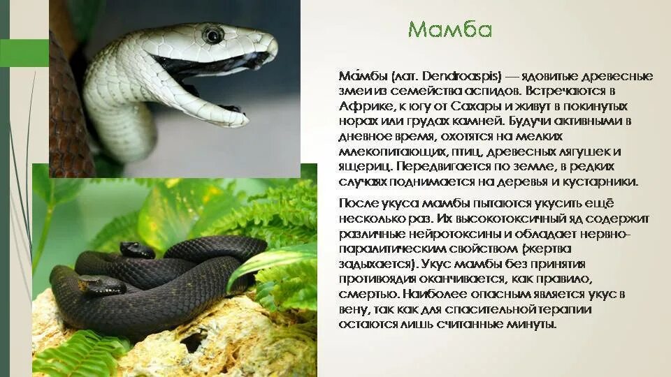 Информация о самых