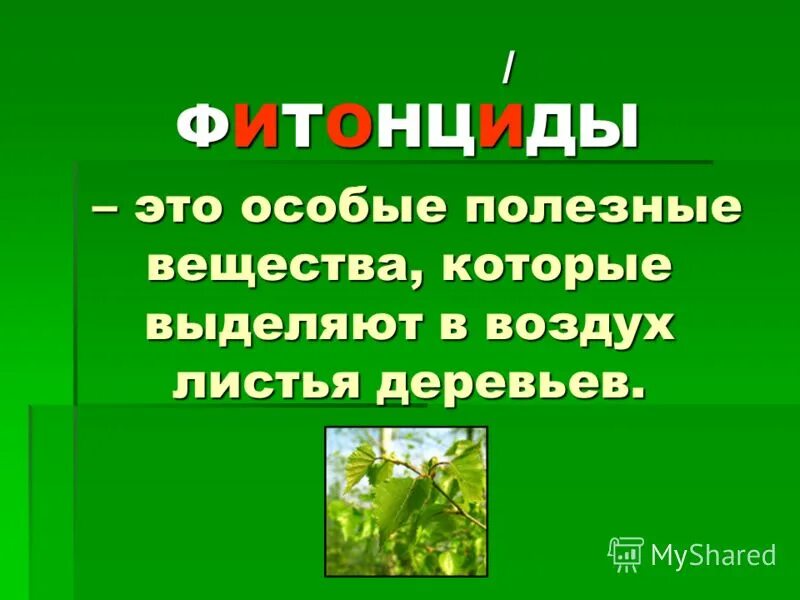 Урок земля кормилица 4 класс плешаков. Презентация 4 класс плешаков. Презентация поверхность нашего края. Тема урока лес. Презентация 4 класс плешаков.