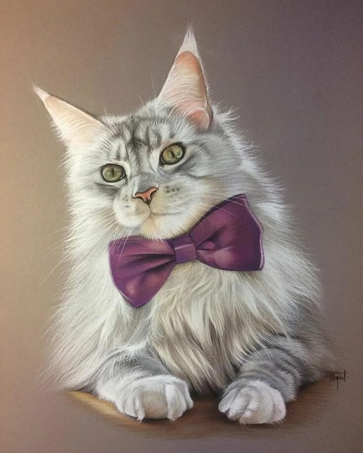 Портрет кошки. Портреты красивых кошек. Красивый кот портрет. Пушистый кот арт.