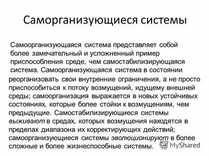 Каждая сфера является сложной самоорганизующейся системой