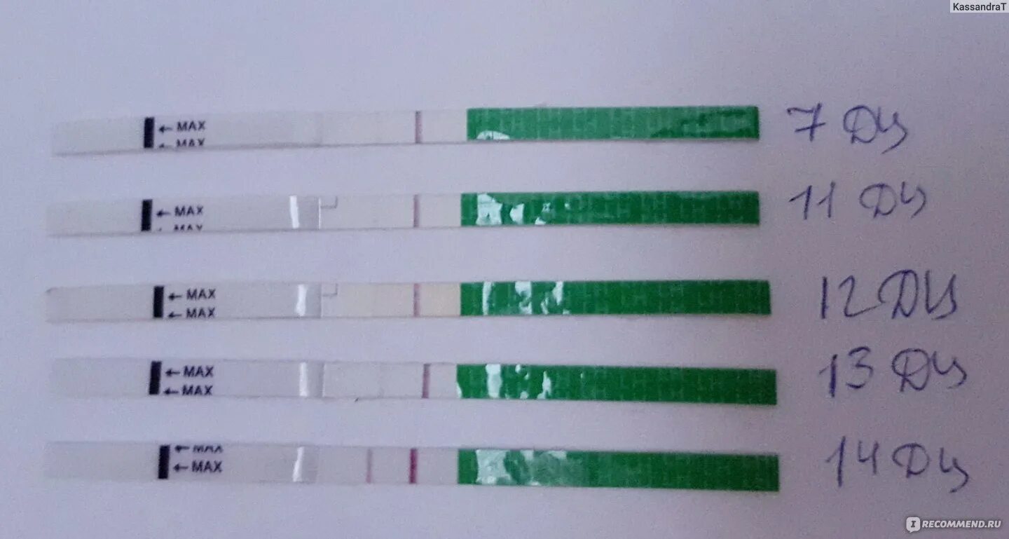 Отзывы кто забеременел после. Эвиплан тест на овуляцию. Тест на овуляцию Eviplan. Тест на овуляцию Eviplan отзывы. Эвиплан тест на овуляцию отзывы.
