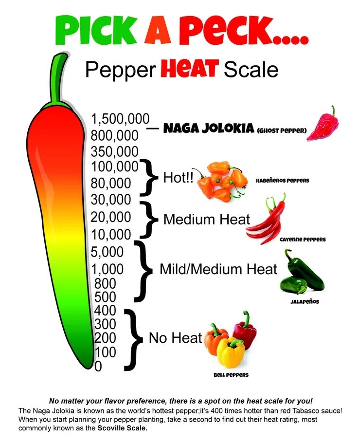 Капсаицин шкала Сковилла. Шкала остроты перцев Сковилла. Халапеньо шкала Сковилла. Шкала Сковилла красный перец.
