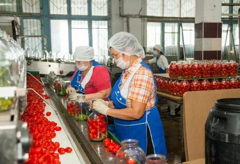 Производство овощей и плодов