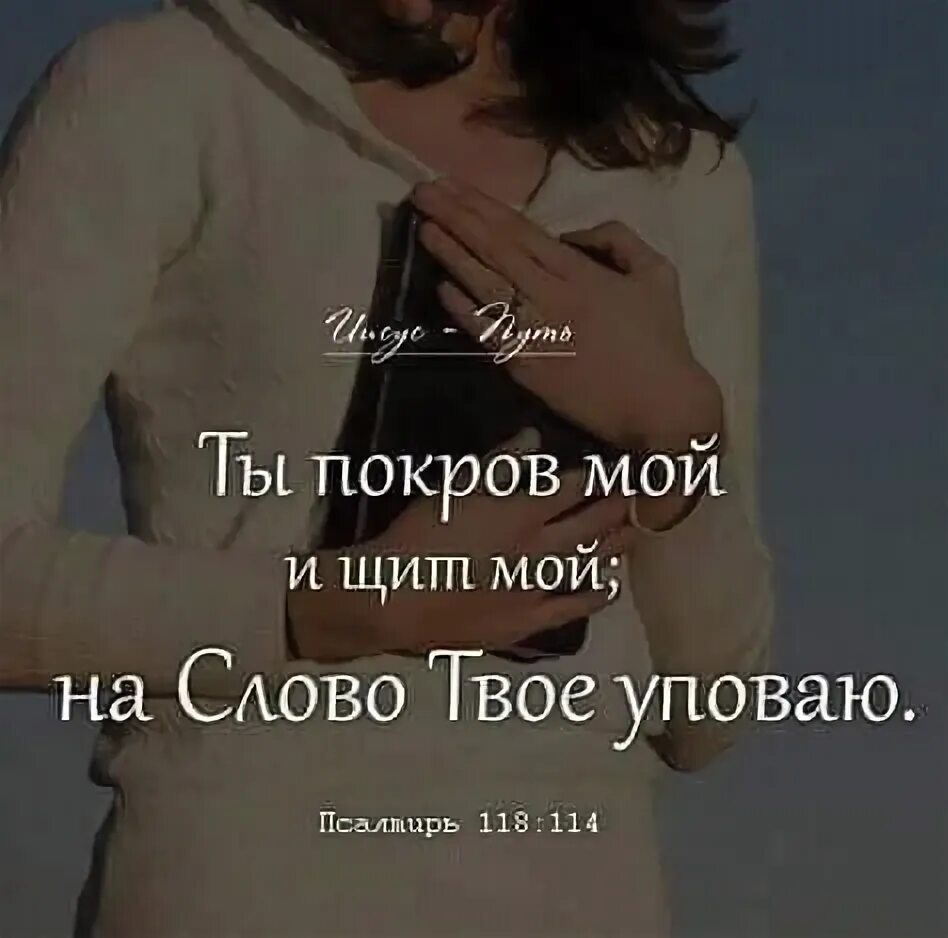 Твои слова. Господь Покров мой и щит мой на слово твое уповаю. Господь мой ты Покров. Ты Покров мой. Есть ли твоих словах