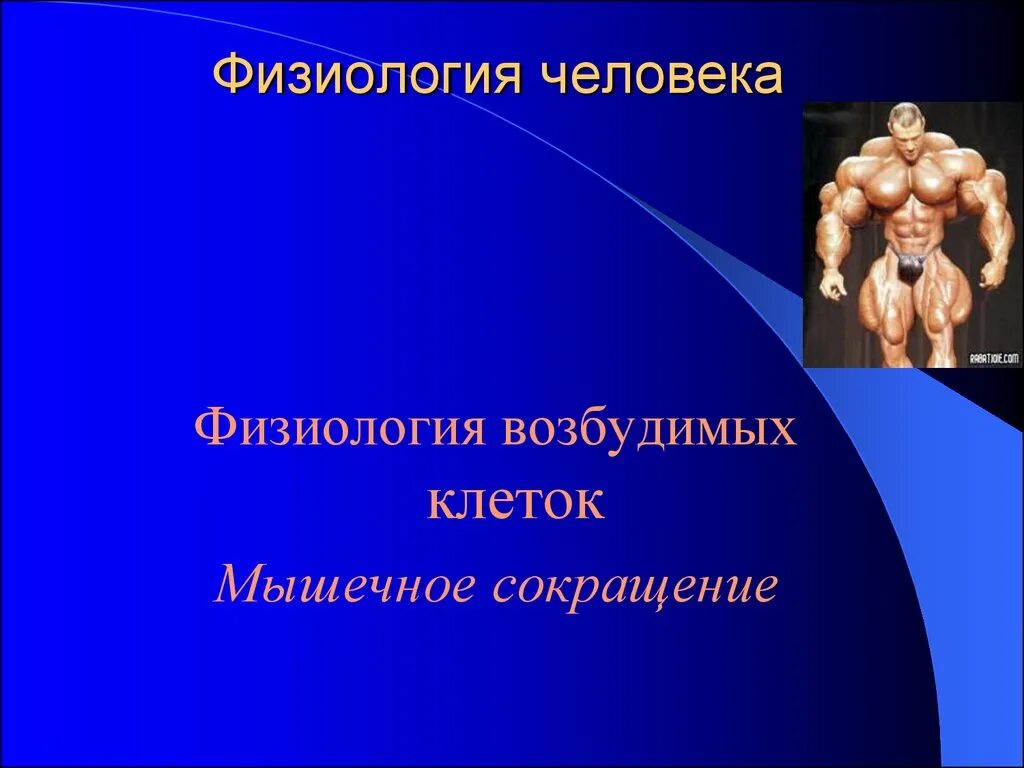 Физиология человека и животных. Физиология человека. физиология человека презентация. презентации по физиологии.