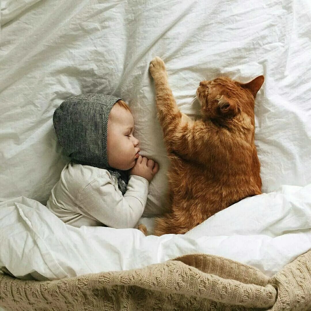 Кот спавший ребенка. Коты и дети. кот для детей. кот и младенец. рыжий кот для детей.