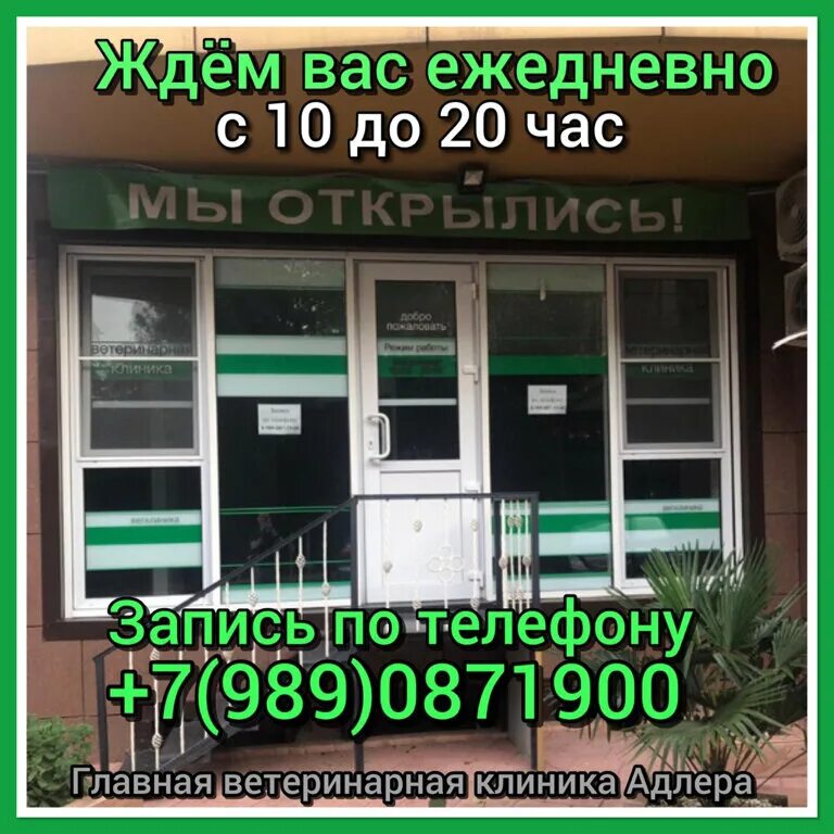 Стоматологическая клиника адлер. Ленина 146 адлер медицинский центр. Революции 7 адлер. Революции 7 адлер стоматология. Номер телефона поликлиники адлер.