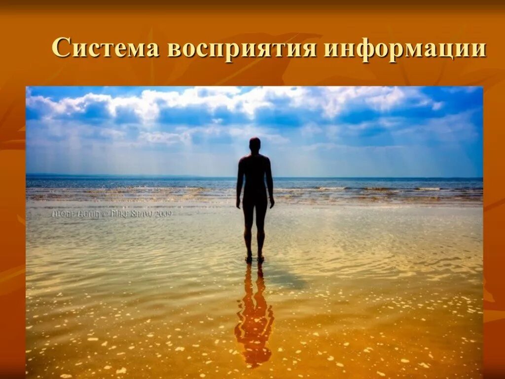 Смысл и предназначение существования. Предназначение человека на земле. цитаты о предназначении человека. смысл человеческого предназначения. картинка предназначение человека.