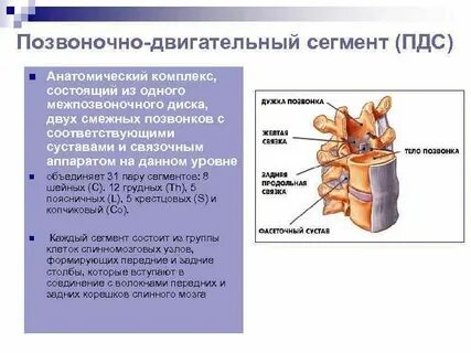 Комплекс состоит из двух