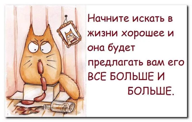 Утро заменившее жизнь. Все в жизни к лучшему. Приколы про перемены в жизни. Цитаты о переменах в жизни к лучшему. Цитаты про перемены в жизни.