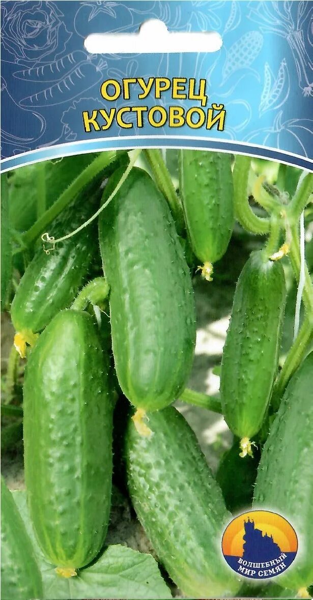 Корнишон челябинский кустовой огурец. Сорта кустовых огурцов самоопыляемые. Семена огурцов кустовые. Огурцы кустовые отзывы фото. Огурец кустовой.