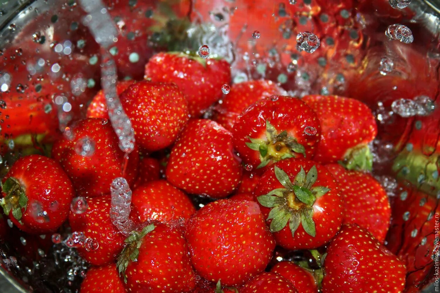 Налитые сочные прохладные эти ягоды. Малина и голубика. Налитые сочные прохладные эти ягоды. Сочная ягода. Сочная ягода.