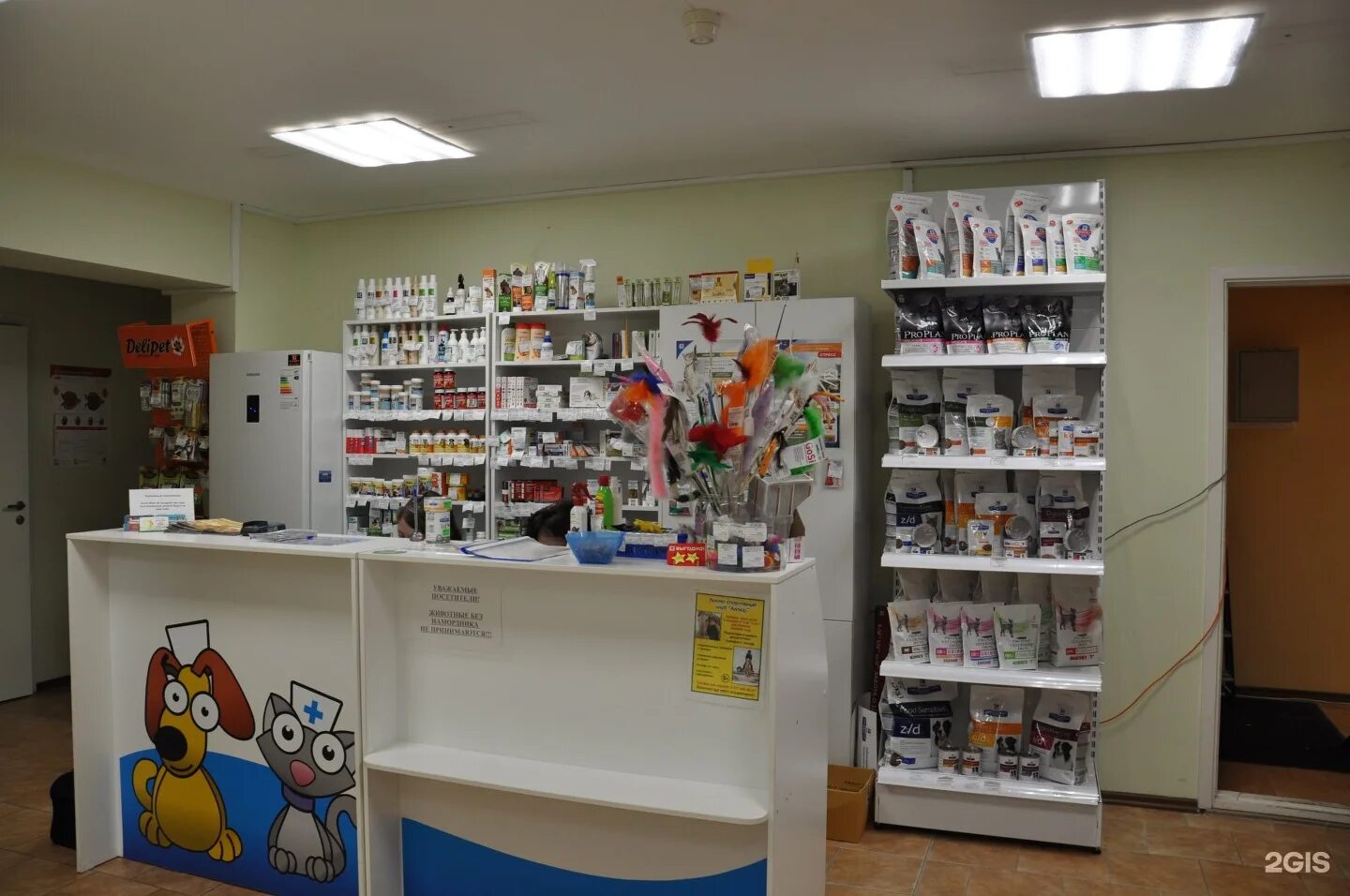 кот и пес магазин. кот и пес пенза. кот и пес пенза. питомец пенза. кот и пес пенза врачи.