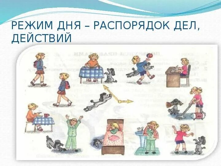 Рассказать о режиме дня