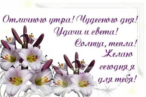 Погода желает