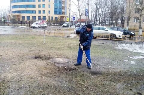 Погода реутов сегодня сейчас