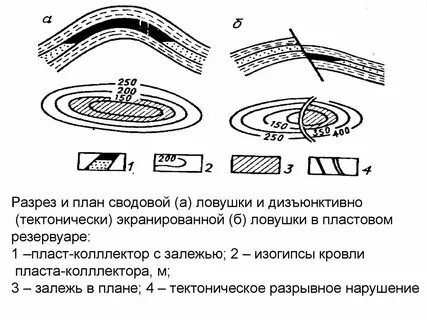 Литологически экранированный