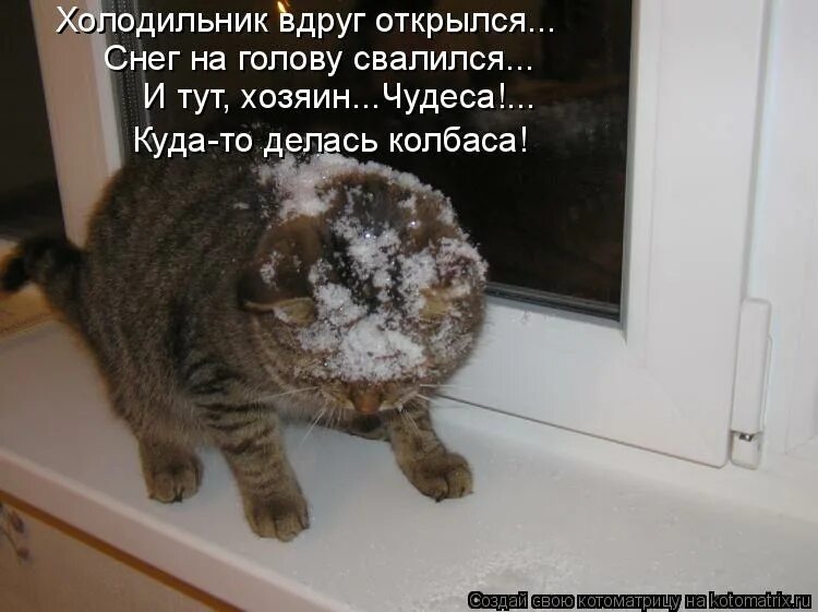 перестал выходить на улицу