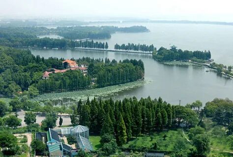 Площадь озера восток