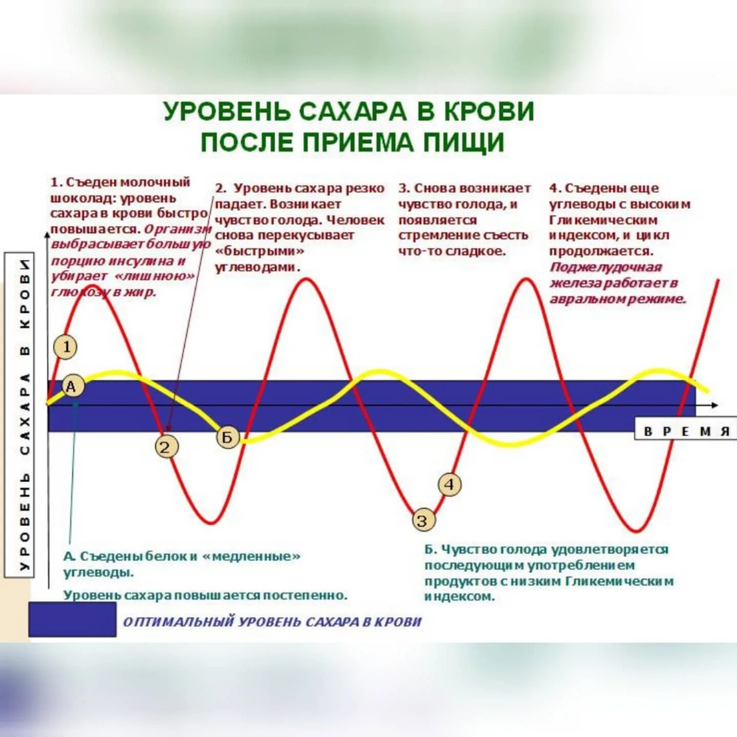 На сколько повышается сахар. График уровень Глюкозы в крови после еды. График сахара в крови после приема пищи. График изменения сахара в крови у здорового человека. График уровня Глюкозы в крови у здорового человека.