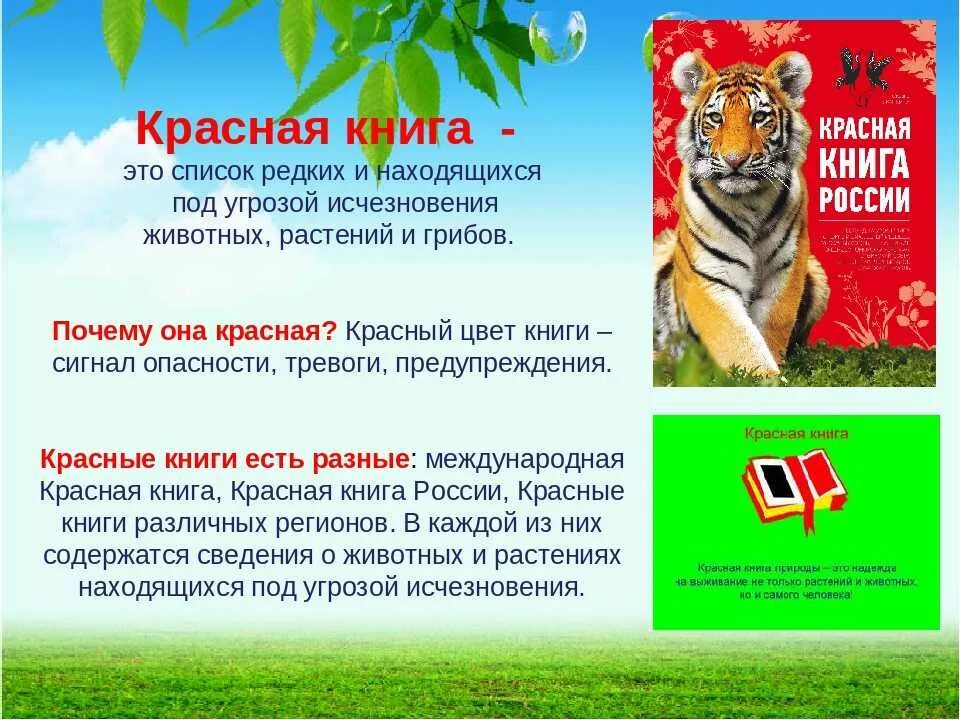Составьте список растений и животных