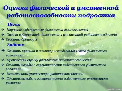 Методика исследования работоспособности