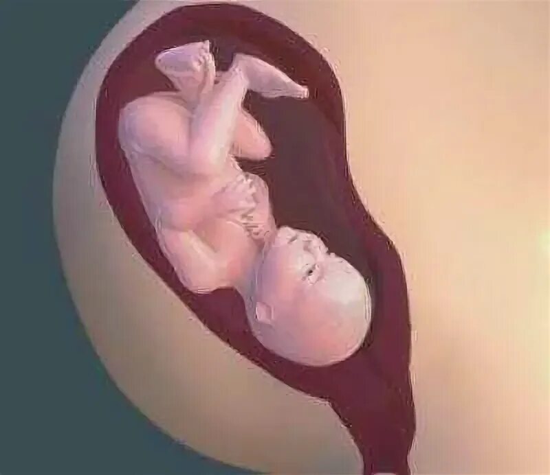 Ребёнок на 40 неделе беременности. 39-40 Недель беременности. Как выглядит эмбрион на 39 недели. 40 Недель беременности фото ребенка.