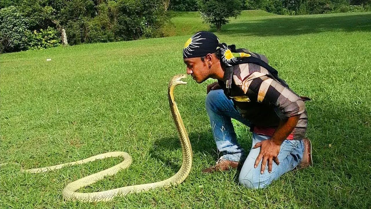 Песни змеи из шоу. Snake man. India Snake. Snake man shot.