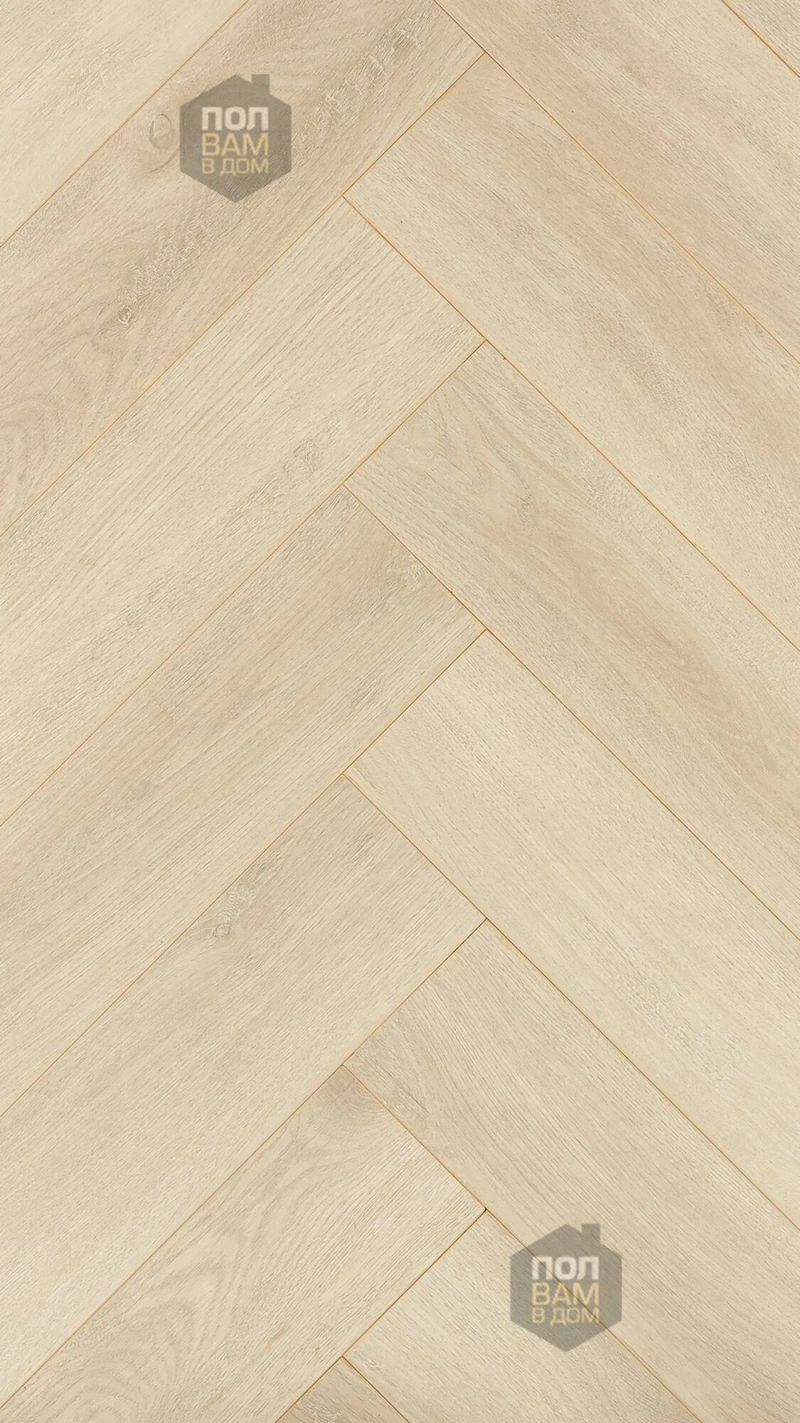 Ламинат цвет шампань. Ламинат luxury natural floor футура дуб отзывы. Ламинат berry-alloc верди 6001. Виниловый ламинат alta-step spc excelente дуб серебристый. Ламинат дуб шампань 33 класс.