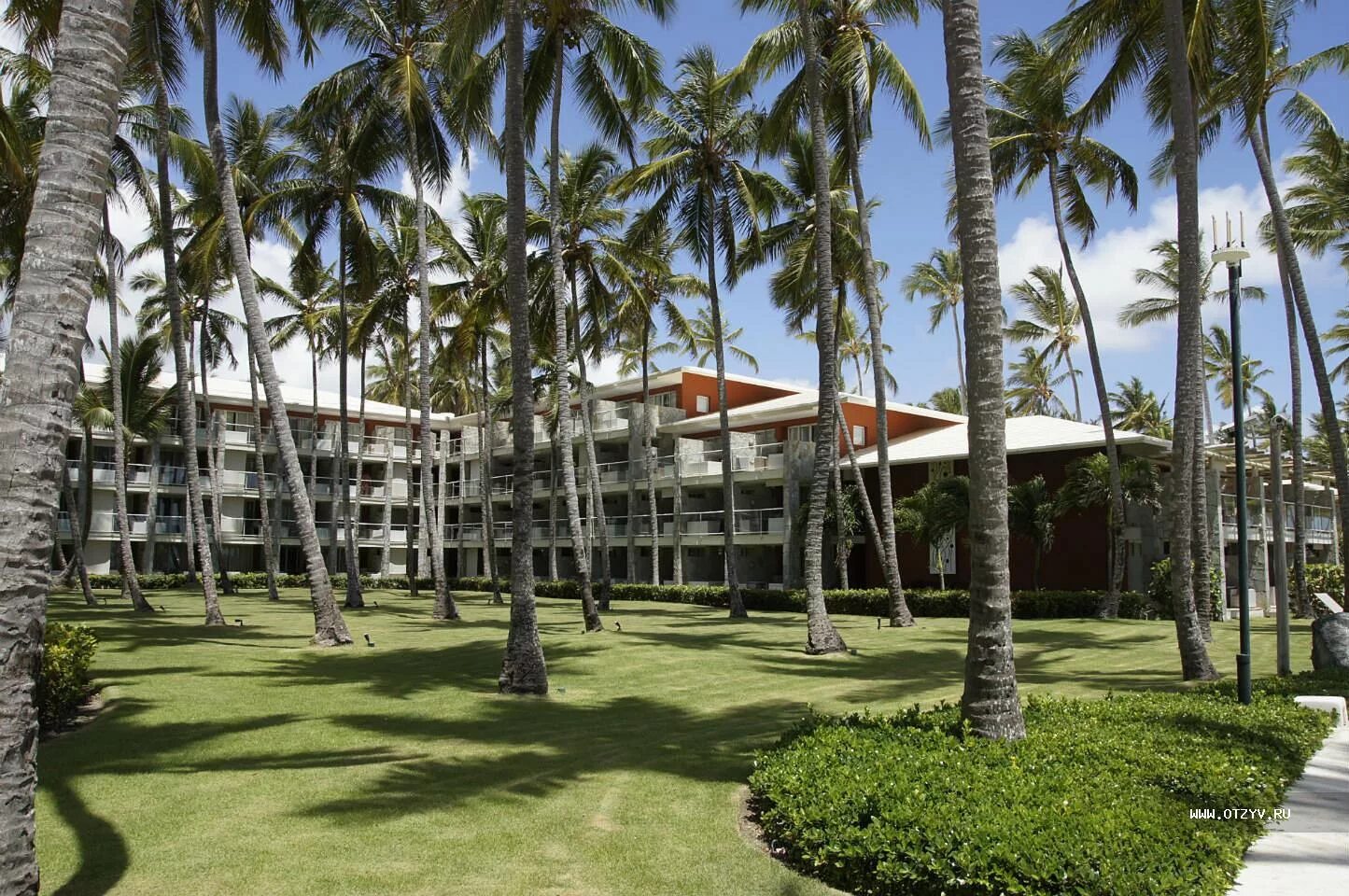 Барсело баваро палас делюкс 5 доминикана. Barcelo доминикана. Пляж барсело баваро палас. Barcelo доминикана. Barcelo bavaro доминикана.