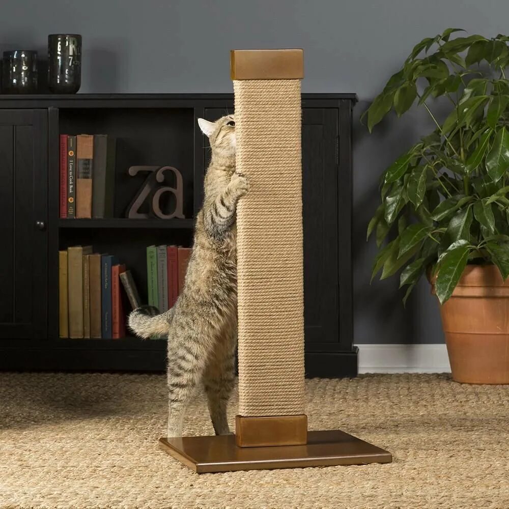 Дизайнерская когтеточка. Дизайнерские когтеточки для кошек. Когтеточка вертикальная. Угловая когтеточка для кошек.