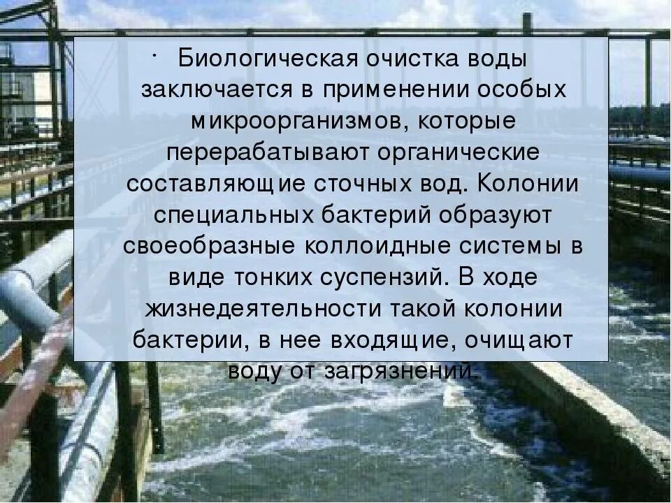 Биологическое использование воды