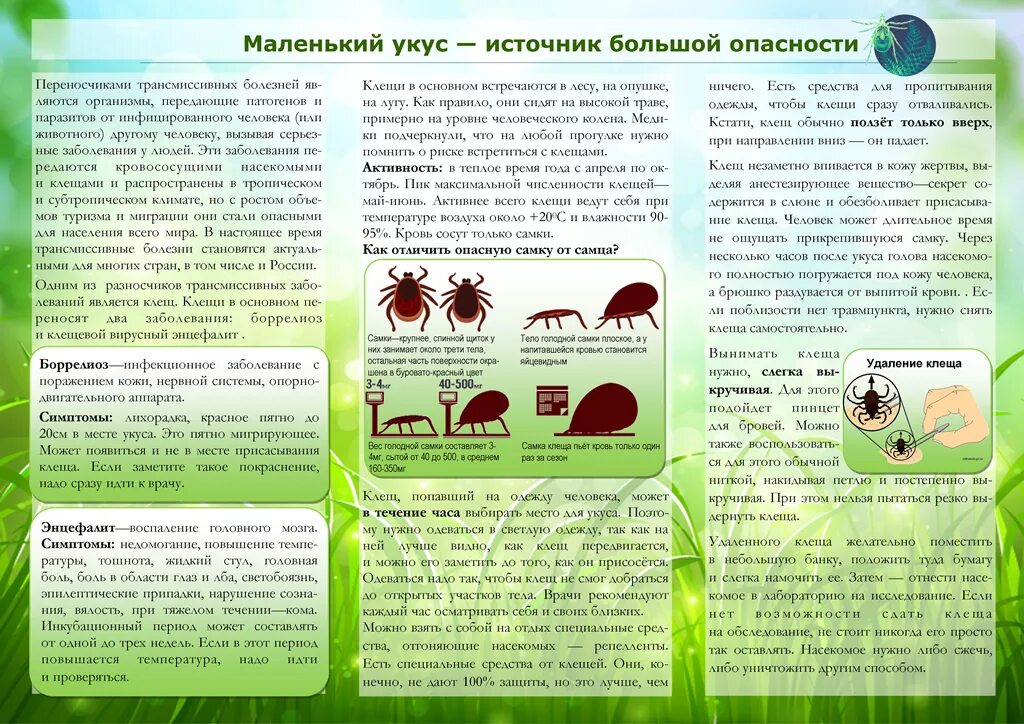 Переносчики опасных заболеваний. Булкте клещевой энцефалит. Клещевой энцефалит прививка буклет. Буклеты и памятки клещевой энцефалит. Памятки для родителей по клещевому энцефалиту.