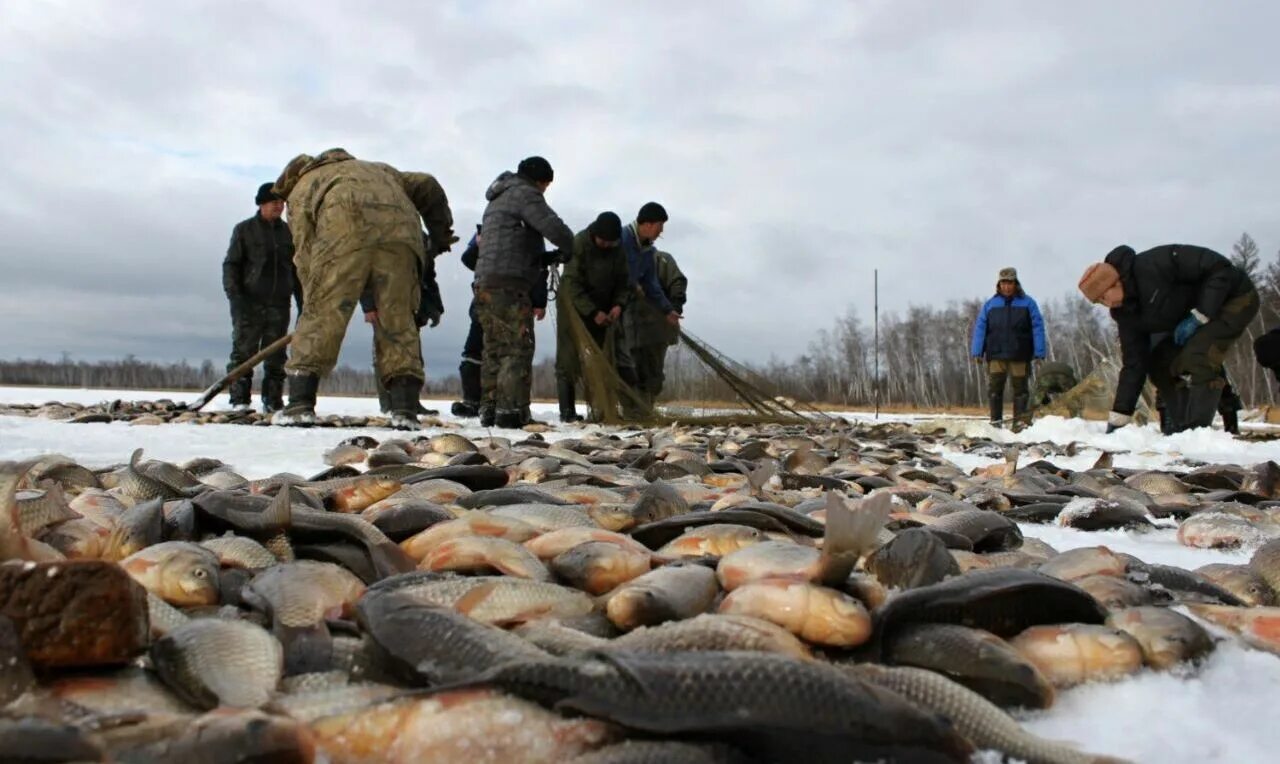 Мунха в Кобяйском улусе. Якутская рыбалка мунха. Осипов мунха. Карась мунха.