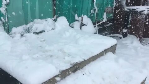Снега ютуб