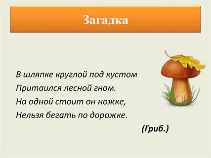 Найди слова грибы