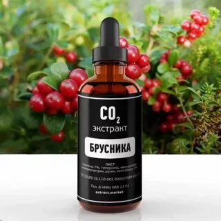 Экстракт брусники