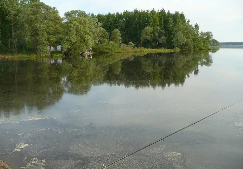 Цветковский Можайское водохранилище. Можайское водохранилище деревня Троица. Можайское водохранилище рыбалка. Троица Можайское водохранилище рыбалка. Клев можайск