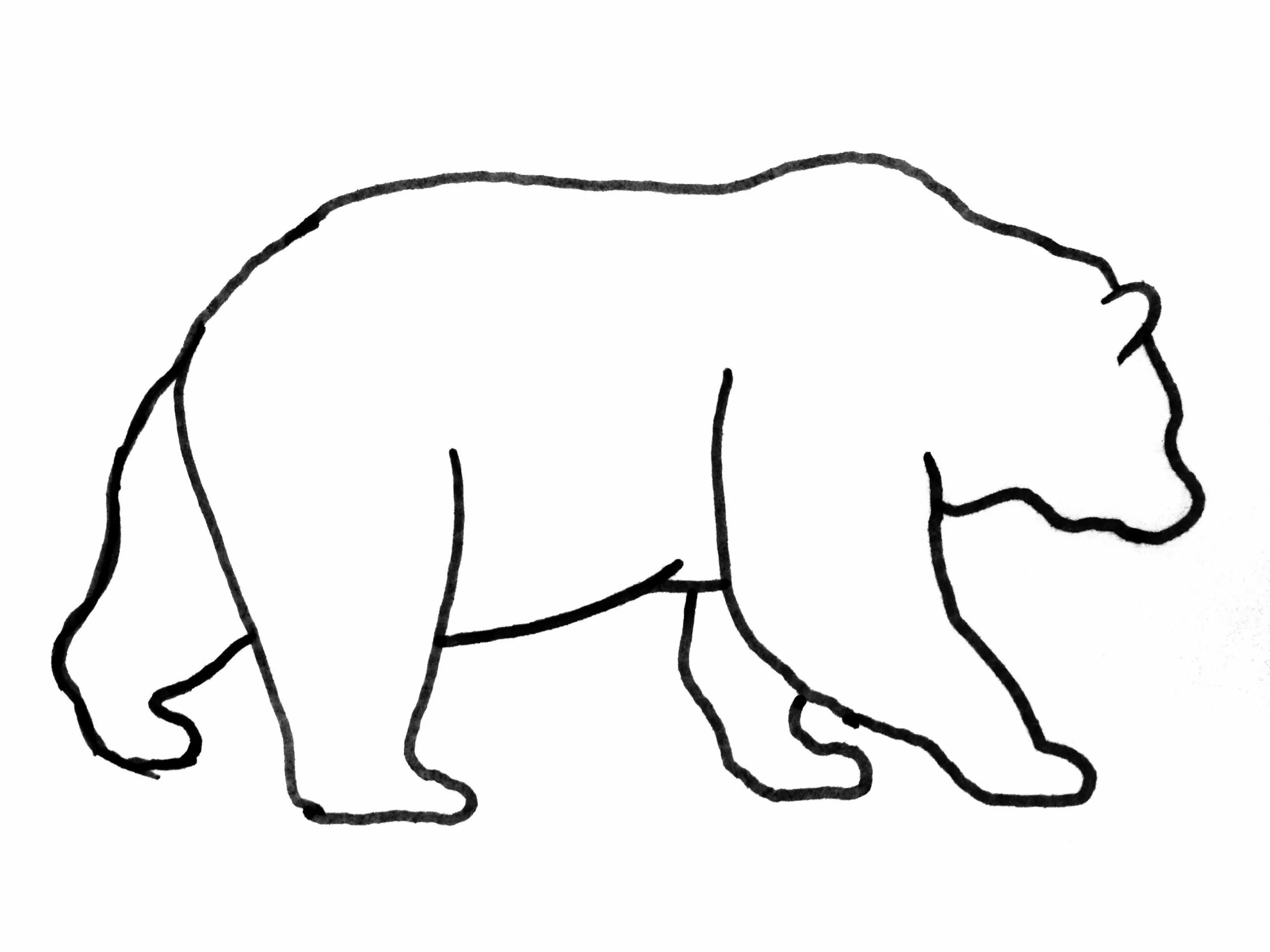Картинка бурого медведя распечатать Kodiak Bear Coloring Pages