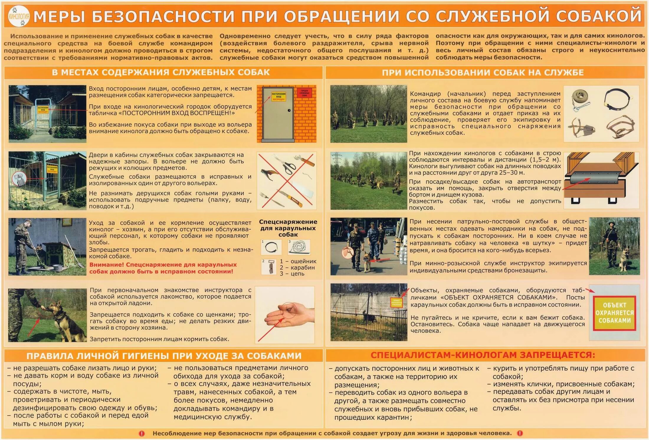 Проект о профессии кинолог. Функции кинологической службы. Профессия кинолог. Презентация на тему кинолог. Малинуа спасатель.