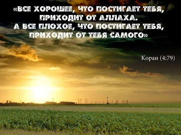 Постигло несчастье. И плохое и хорошее от Аллаха. Все от Аллаха. Всё происходит по воле Аллаха. Все хорошее что постигает тебя приходит от Аллаха.