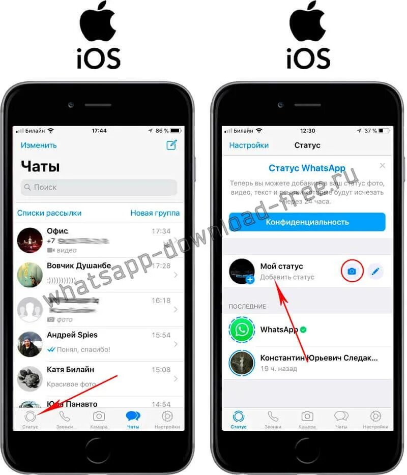 Статус в ватсап на айфоне. Просмотрели статус в вацапе на айфоне. Статус про айфон. Как добавить статус в ватсап на айфоне.
