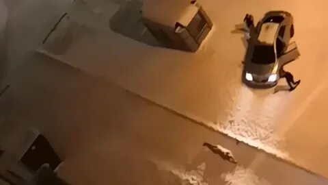 Камера в ноябрьске