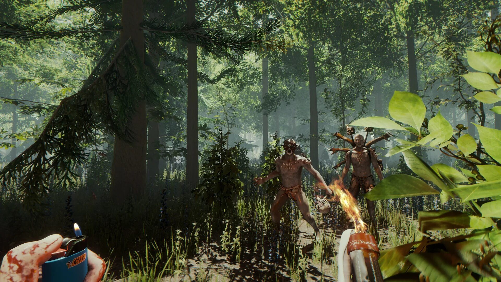 Популярные игры с сюжетом. Игра зе Форест. Игра sons of the Forest. Forest 2 игра. The Forest 2008.